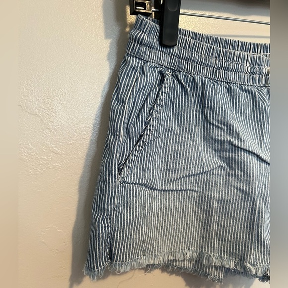 Aerie Pinstriped Blue and White Cotton Shorts - Picture 3 of 8